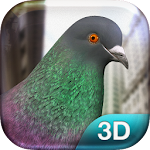 Cover Image of Descargar Pigeon 1.21 APK