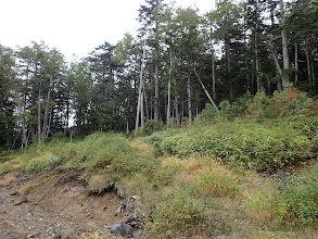 登山道は分かりづらく（中央左が入り口）