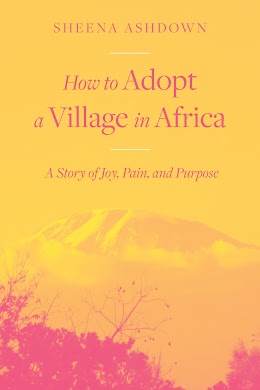 How to Adopt a Village in Africa cover