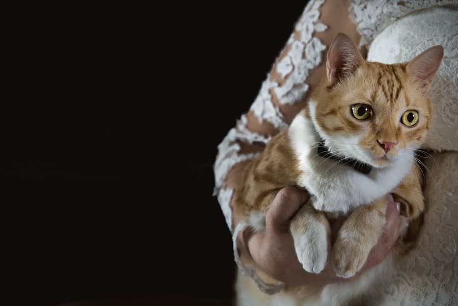 結婚式の写真家Luigi Tiano (luigitiano)。2017 8月8日の写真