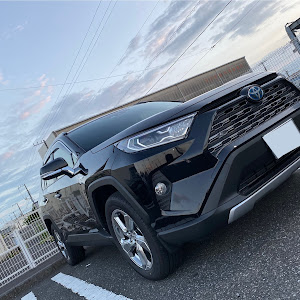 RAV4 MXAA54