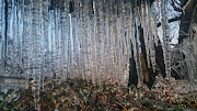 Silver Streams Estate owner Madie Botha captured the icicles formed in below-freezing temperatures on Thursday morning