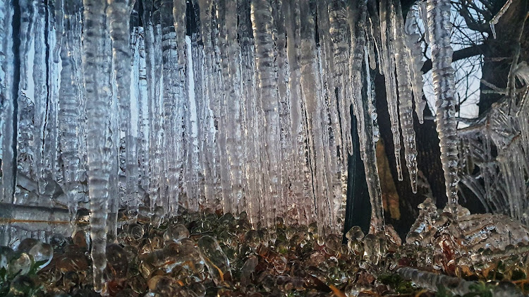 Silver Streams Estate owner Madie Botha captured the icicles formed in below-freezing temperatures on Thursday morning