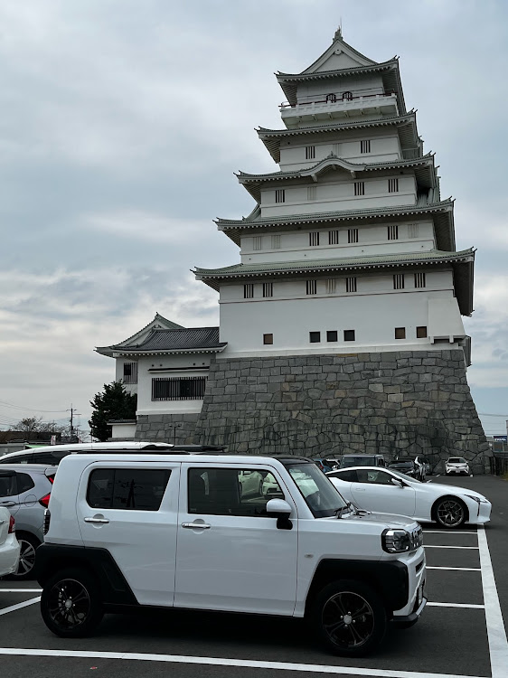 タフトの常総市地域交流センター・豊田城コラボ・どこでもドア・天守閣・展望台からの景色に関するカスタム事例の投稿画像9枚目
