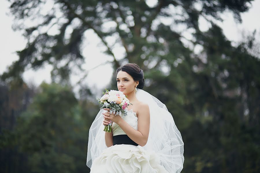 Wedding photographer Evgeniya Krasovskaya (alessa-white). Photo of 4 January 2014