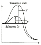 Enzymes