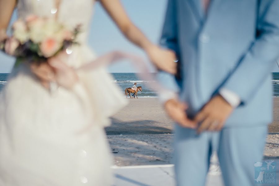 Photographe de mariage Nattapol Jaroonsak (doglookplane). Photo du 8 mars 2020