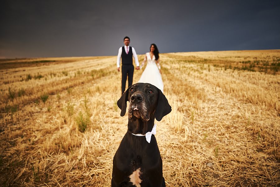 Fotógrafo de casamento Ramón Serrano (ramonserranopho). Foto de 28 de novembro 2018