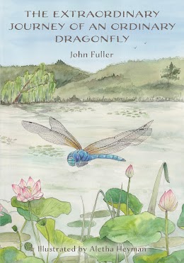 The Extraordinary Journey of an Ordinary Dragonfly cover