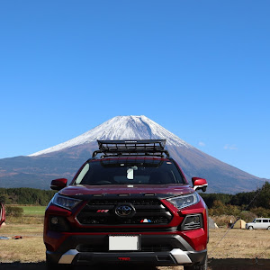 RAV4 MXAA54