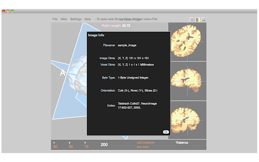 Dicom Medical Image Viewer