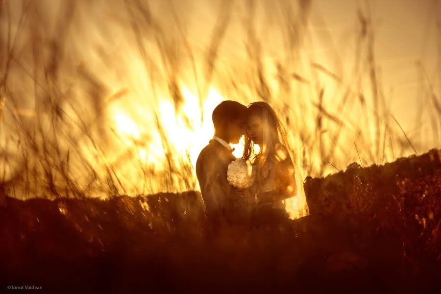 Düğün fotoğrafçısı Ionut Vaidean (vaidean). 7 Kasım 2017 fotoları