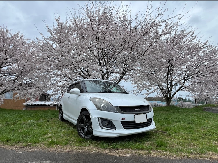 スイフトの柿本改 GTbox 06&s・monster sport・桜とコラボ・4月もよろしくお願い致します🌸・伊吹せんろみちに関するカスタム事例の投稿画像3枚目