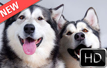 Dogs HD new free tab theme small promo image