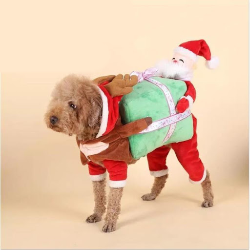 Title 4, Halloween Dog Clothes