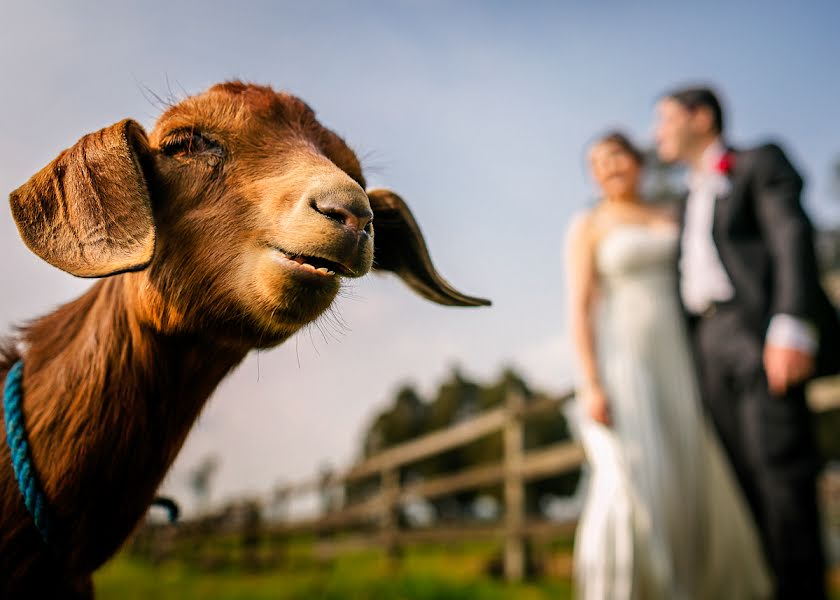 Fotógrafo de bodas Christian Cardona (christiancardona). Foto del 24 de enero 2016