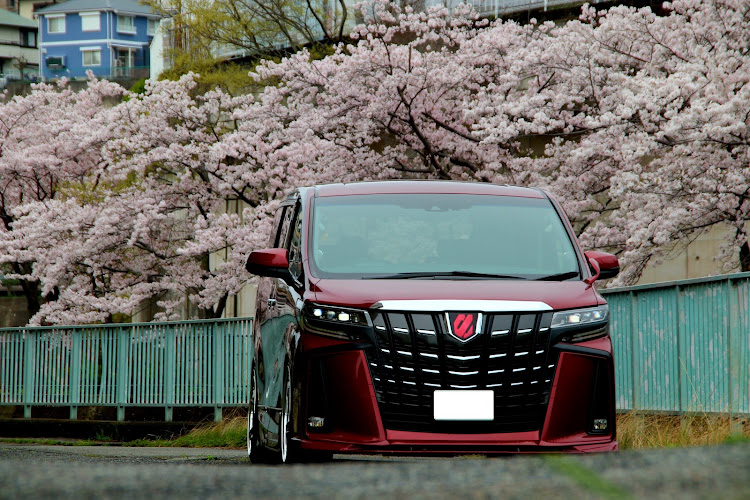 アルファードのダークレッドマイカメタリック・桜とコラボ・サクラと愛車・スピーカーアウター化進行中に関するカスタム事例の投稿画像1枚目