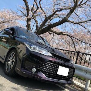 カローラフィールダー