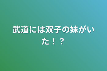 武道には双子の妹がいた！？