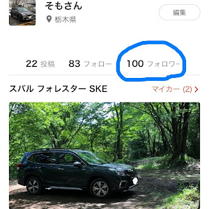 フォレスター SKE