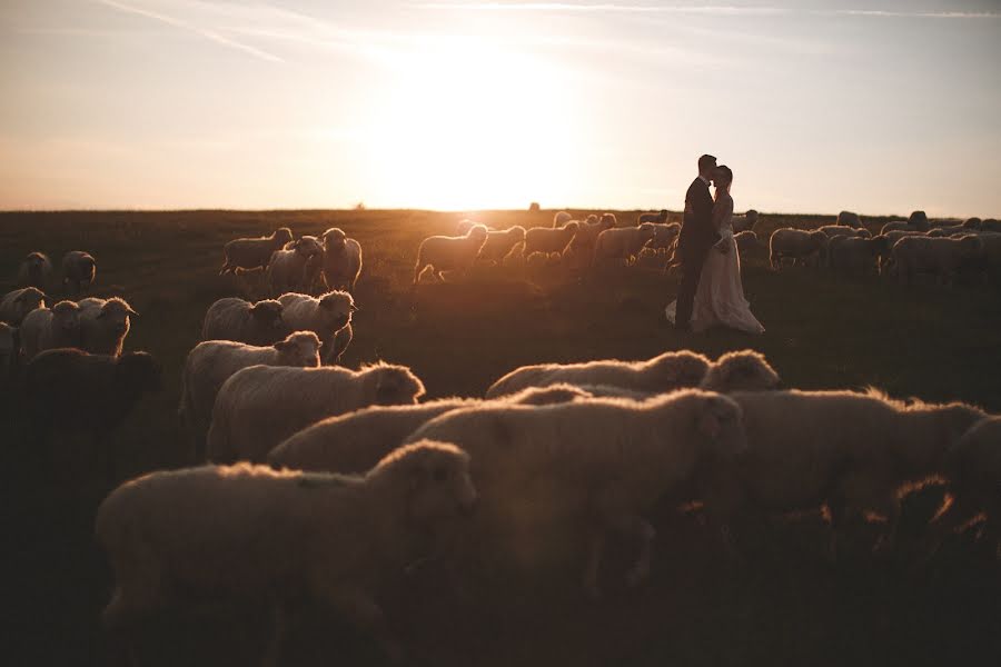 Fotografo di matrimoni Tim Demski (timdemski). Foto del 3 marzo 2021