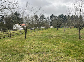 terrain à Sierck-les-Bains (57)