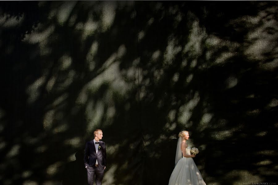 結婚式の写真家Sergey Lapkovsky (lapkovsky)。2013 9月9日の写真