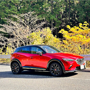 CX-3 DK5FW