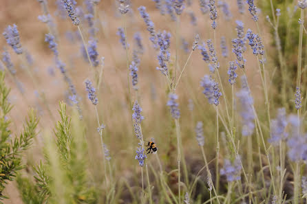 Wedding photographer Dario Vannucchi (vannucchiphoto). Photo of 30 December 2023