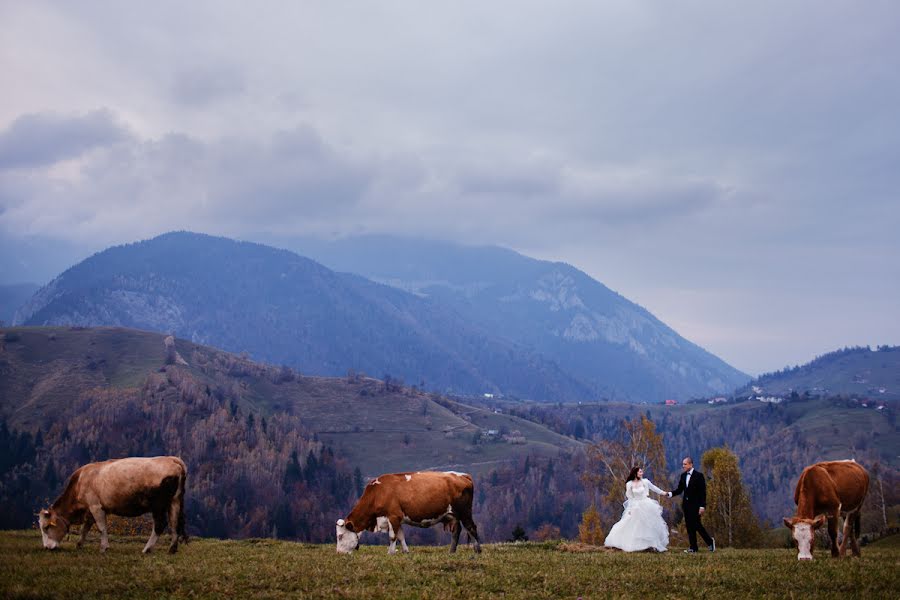 Fotografo di matrimoni Vali Matei (matei). Foto del 15 aprile 2015