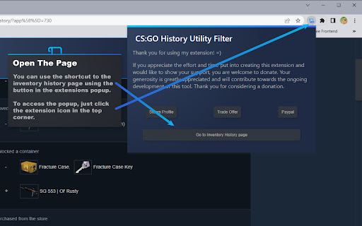 CS:GO History Utility Filter