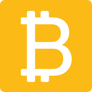 bitcoin the future of digital payments