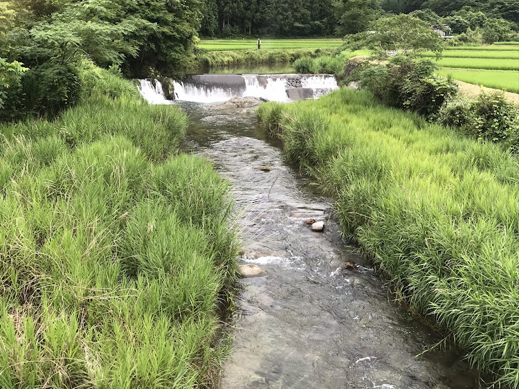 の投稿画像5枚目