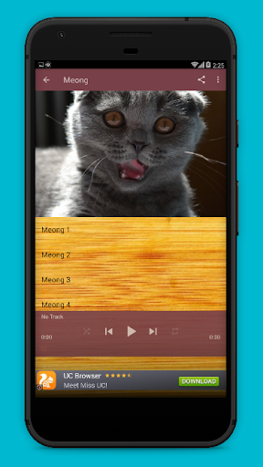 Kumpulan Suara Kucing Lengkap