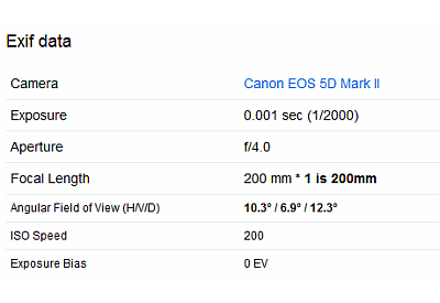 Full Frame (35mm) Focal Length for Flickr