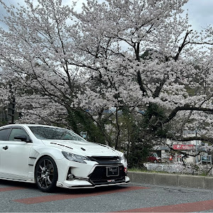 マークX G's