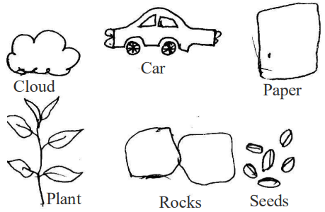 Biotic Components