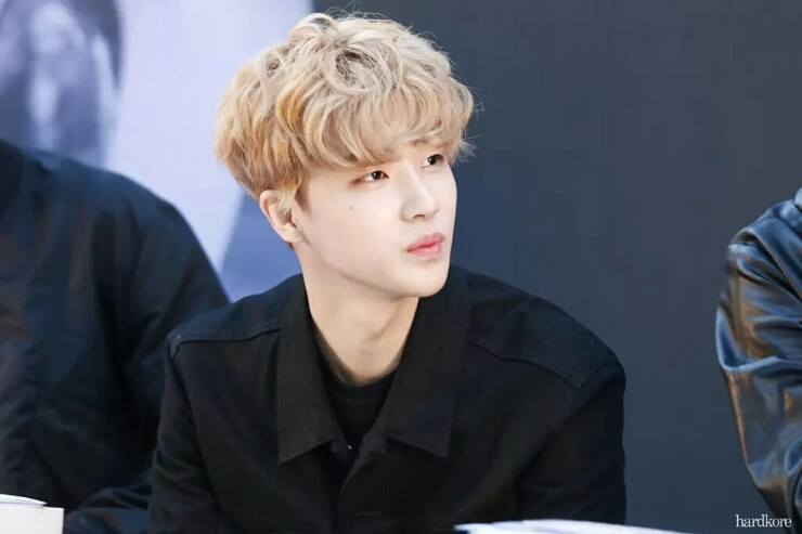 iKon Kim Jinhwan and Go Junhee - Instiz hair colors - http://www.instiz.net/pt/3314568&green=1 