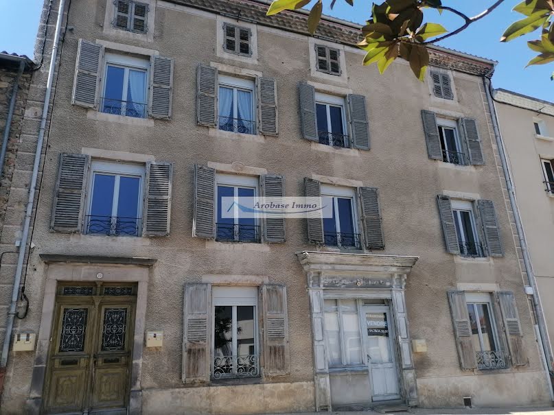 Vente maison 16 pièces 400 m² à Ardes (63420), 130 000 €