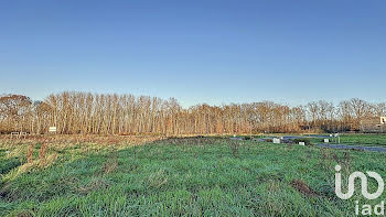 terrain à Saint-Georges-sur-Baulche (89)