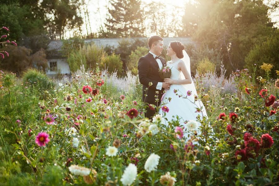 Photographe de mariage Anastasiya Smirnova (parabellum). Photo du 28 avril 2016