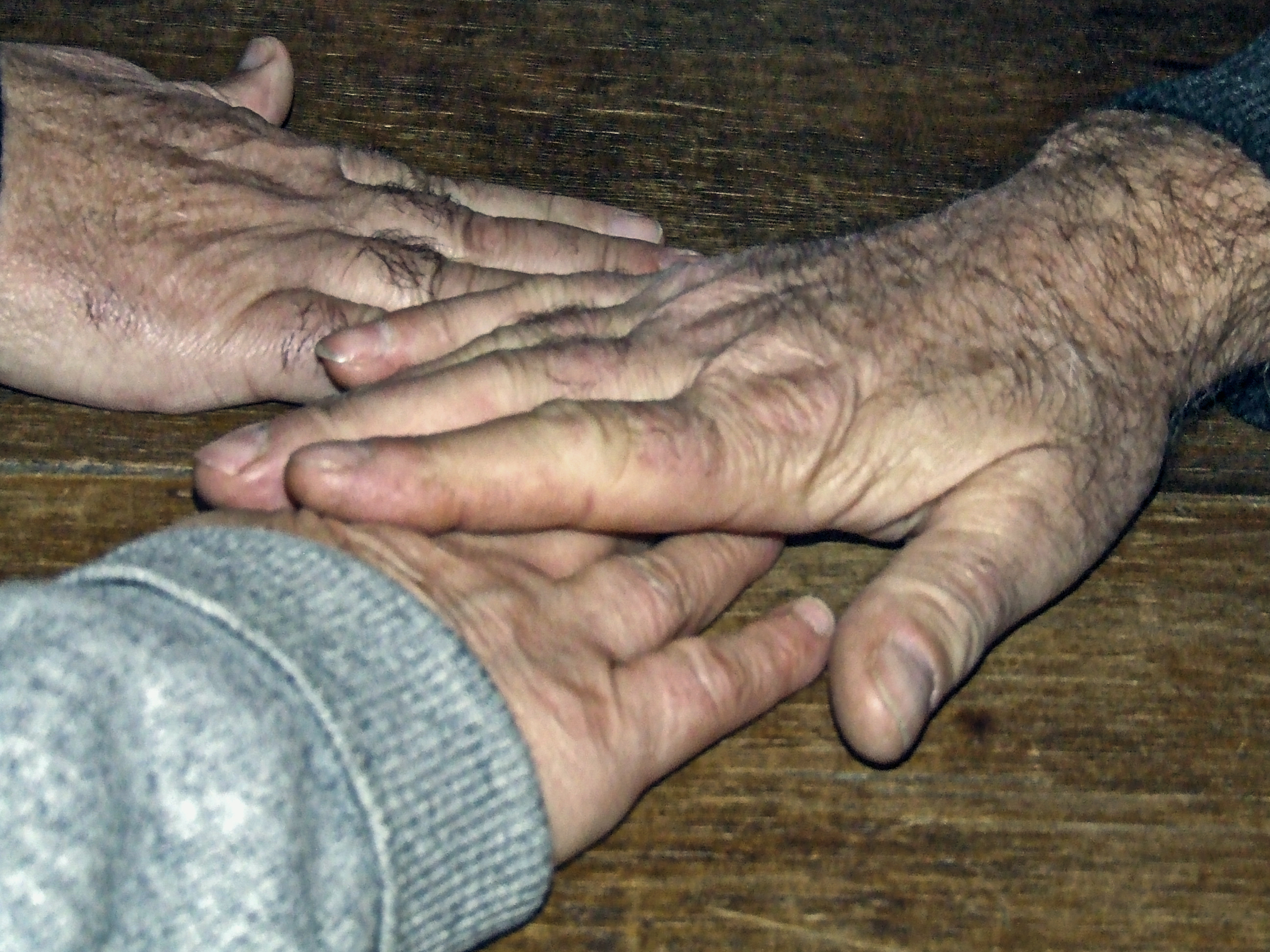 famiglia coesa di lugiube