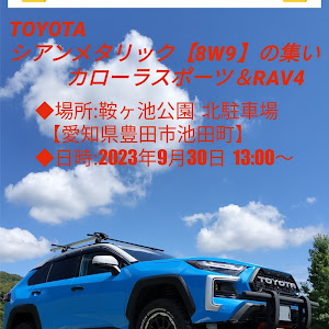 RAV4 MXAA54