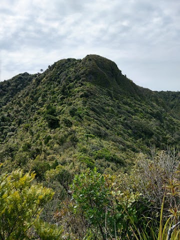 Mount Karioi Summit Track