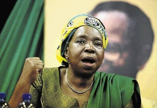 Dr. Nkosazana Dlamini-Zuma advised white people to get behind radical economic transformation because they would benefit from a peaceful and stable country.