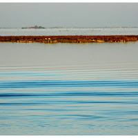 Onde leggere al tramonto di 