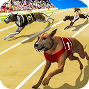 Dog Crazy Race Simulator 1.01 APK Download