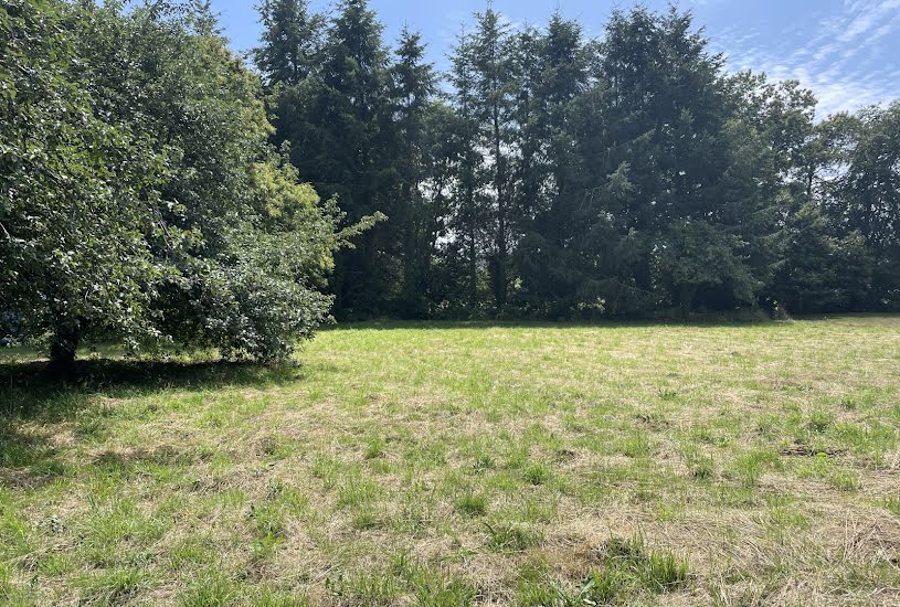  Vente Terrain à bâtir - 1 974m² à Pluvigner (56330) 