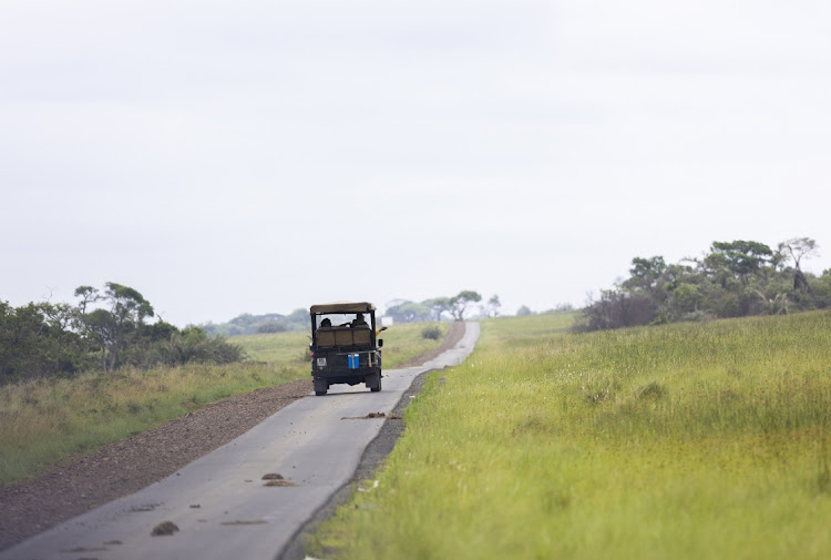 Visitors can see the Big Five (lion, leopard, rhino, elephant and African buffalo) at iSimangaliso Wetland Park.