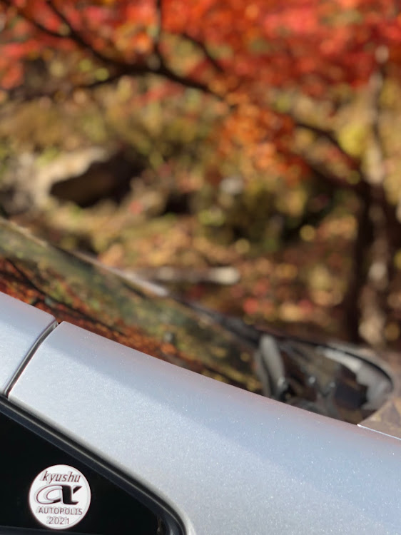 プリウスαの耶馬渓・紅葉ドライブ・紅葉を求めて・イチョウ並木に関するカスタム事例の投稿画像2枚目